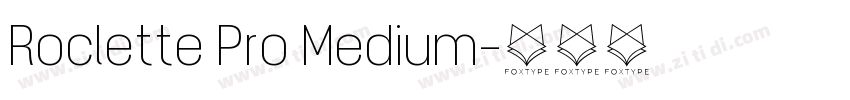 Roclette Pro Medium字体转换